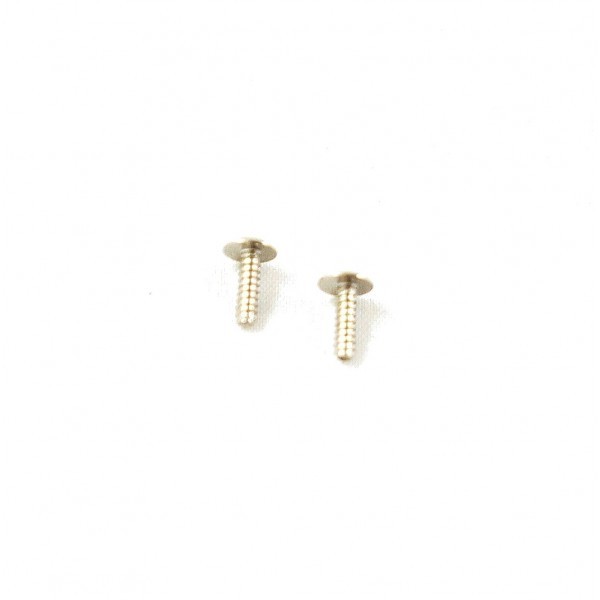 DSRSSML Dualsky Small Servo Mounting Screws, 2pcs DUALSKY