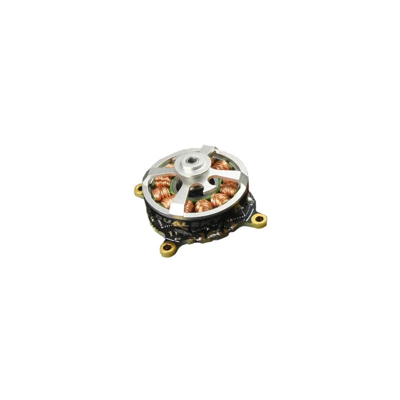 DSXM51965 Dualsky XM2203RTR-16 1650kv Brushless Motor with Integrated ESC DUALSKY