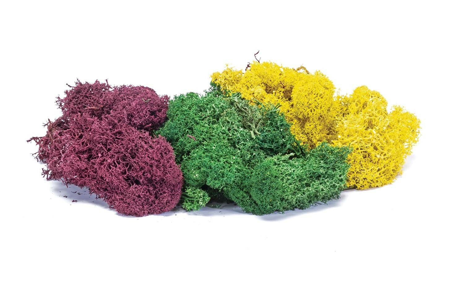 R7197 HORNBY LICHEN - LARGE AUTUMN MIX Hornby