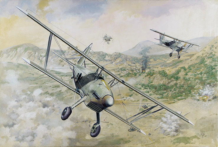 Roden 1/48 Arado Ar68E Plastic Model Kit