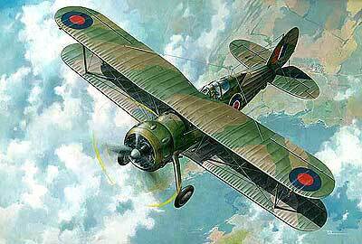 Roden 1/48 GLOSTER GLADIATOR Mk.II Meteorological Plastic Model Kit