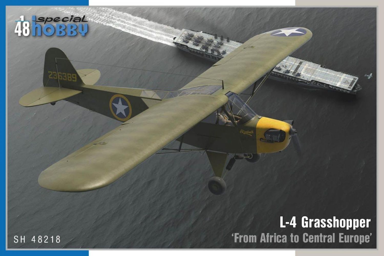 Special Hobby 1/48 L-4 Grasshopper €˜From Africa to Central Europe€™ Plastic Model Kit