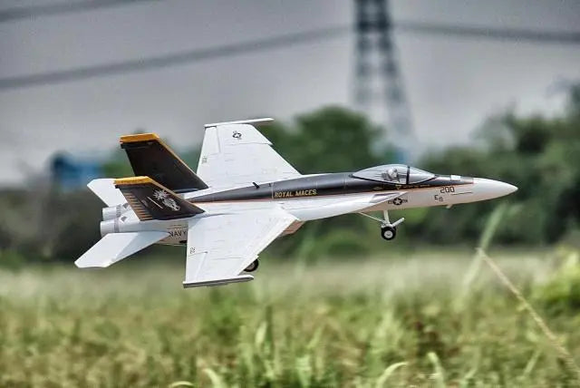 u*1様 FREEWING FW-35 64mm EDF 未組立 サーボ ESC Buy Freewing F/A-18 4S High Performance 64mm EDF Jet Royal Maces