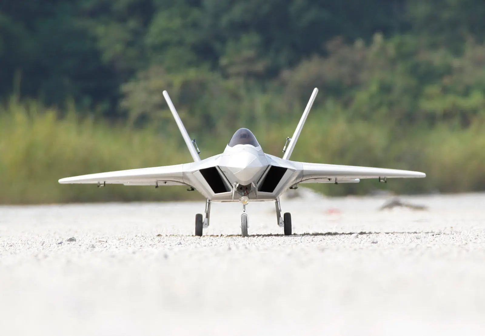 Freewing F-22 Raptor Ultra Performance 8S 90mm EDF Jet - PNP FJ31331P Freewing