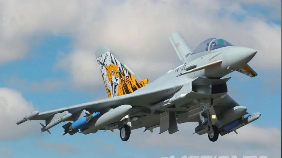 Freewing Eurofighter Typhoon 90mm EDF Jet - PNP FJ31912P Freewing