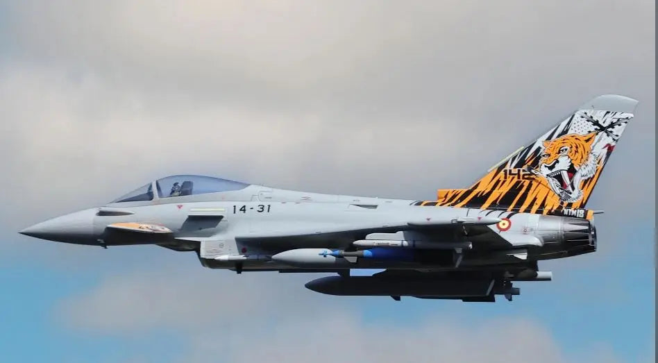 Freewing Eurofighter Typhoon 8S High Performance 90mm EDF Jet - PNP FJ31921P Freewing