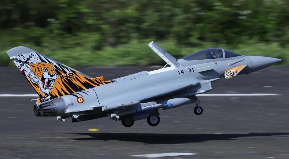 Freewing Eurofighter Typhoon 90mm EDF Jet - PNP FJ31912P Freewing