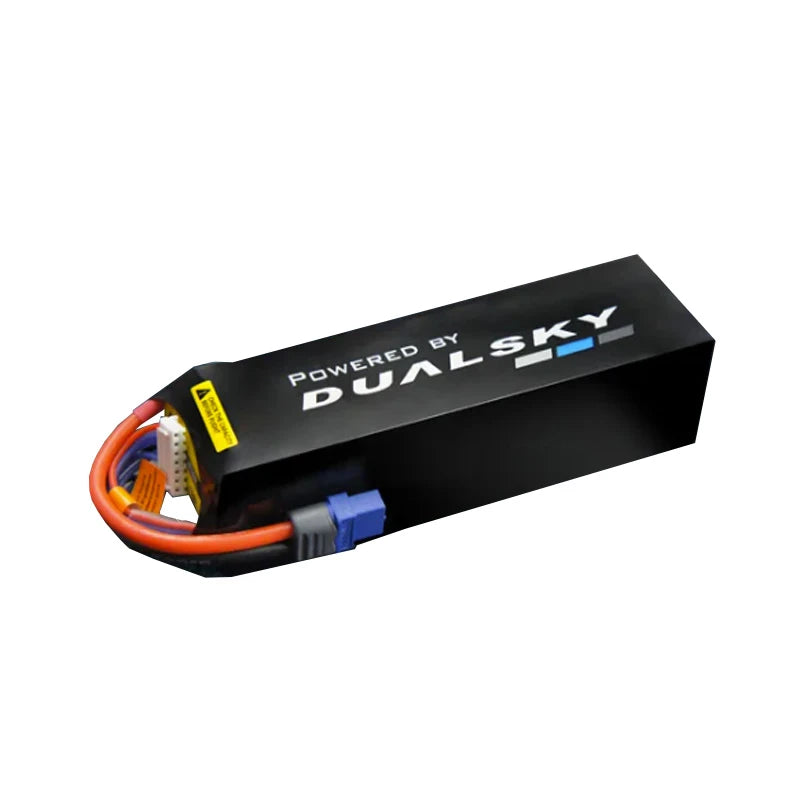 Dualsky 900mah 6S 22.2v 120C LiPo Battery - DSB31953