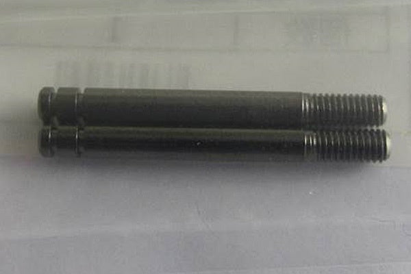 19805548 TAMIYA PISTON ROD FOR 50746 *2