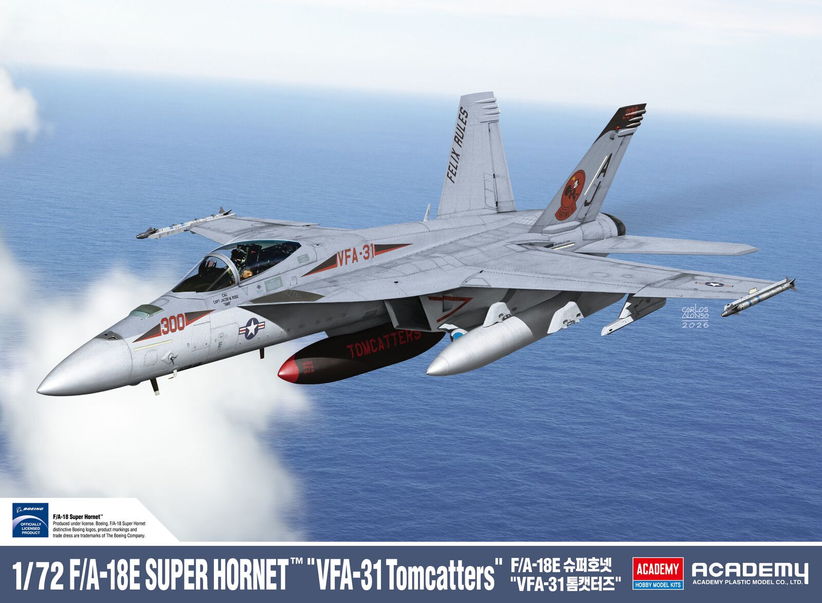 Academy 1/72 F/A-18E Super Hornet "VFA-31 Tomcatters" Plastic Model Kit