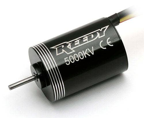 ASS0910 Micro Brushless Motor 5000kv Reedy