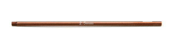 ASS1513 FT 2.5 mm Hex Replacement Tip