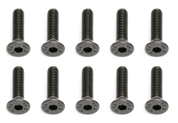 ASS25203 Screws, M3x12 mm FHCS