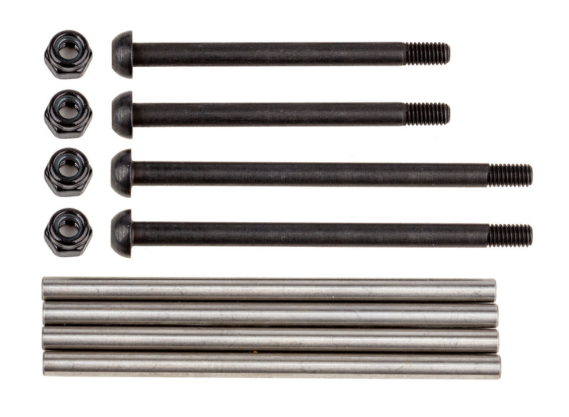 ASS25803 Rival MT10 Hinge Pin Set