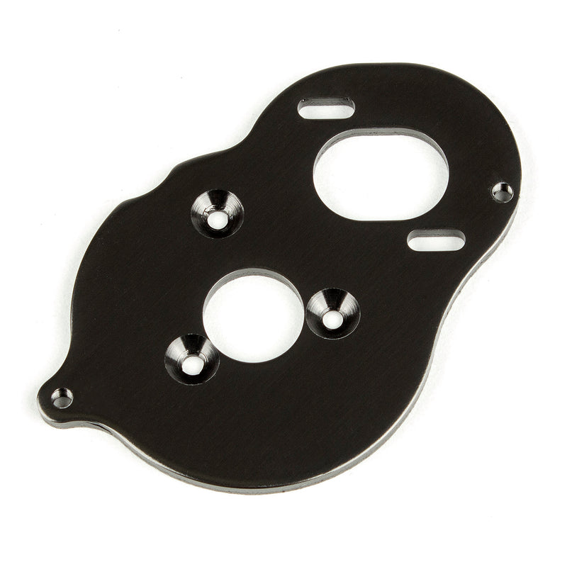 ASS42029 Stealth(R) X Motor Plate