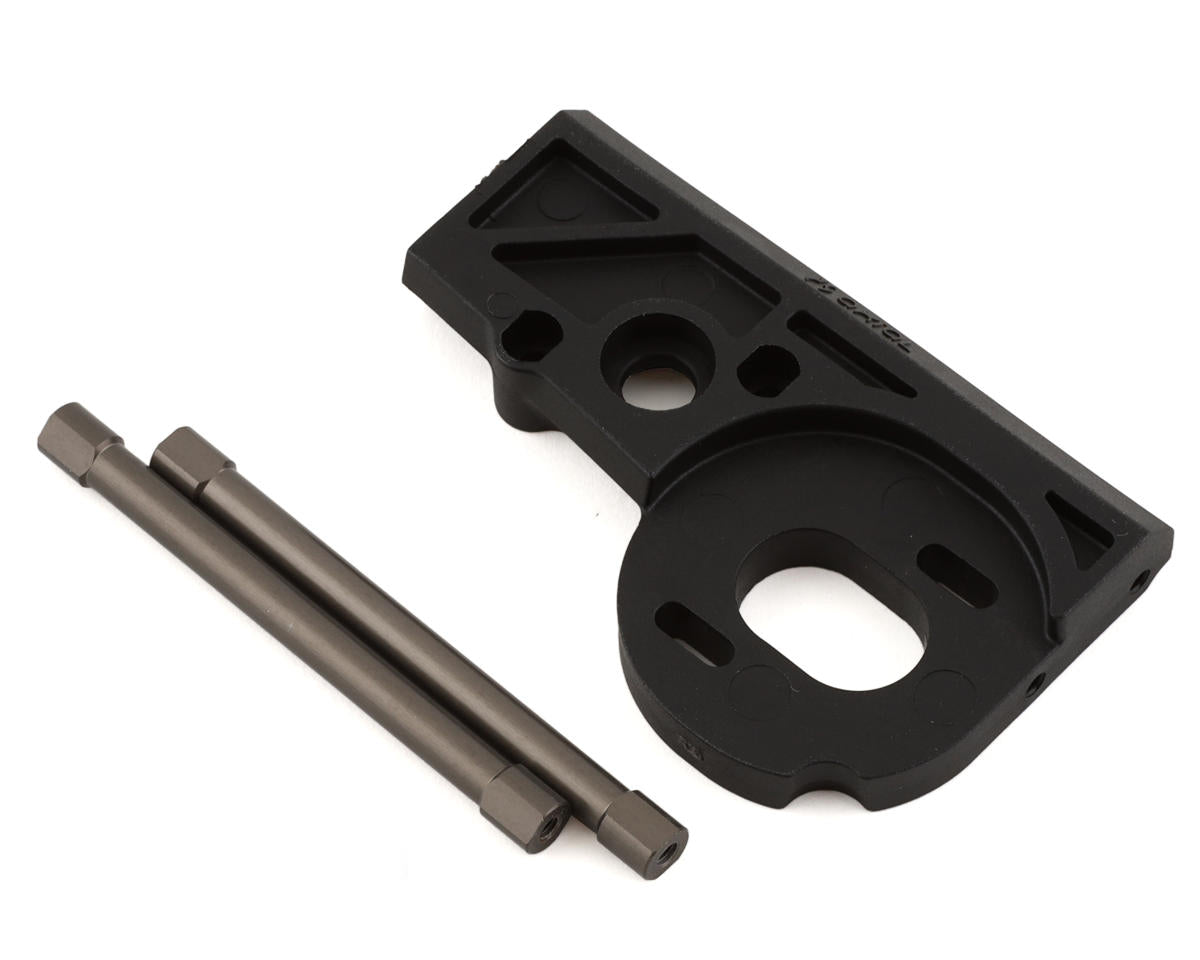 AXI232078 Axial Motor Mount and Posts, Pro Scaler Axial