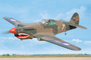 BH-161 P-40C Tomahawk ARTF  , 60CC gas  (covered with HEAT-SHRINK FILM WITH PRINTED) Black Horse
