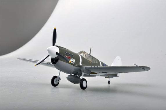 Easy Model 1/48 P-40M 44FS,18FG Assembled Model [39311]