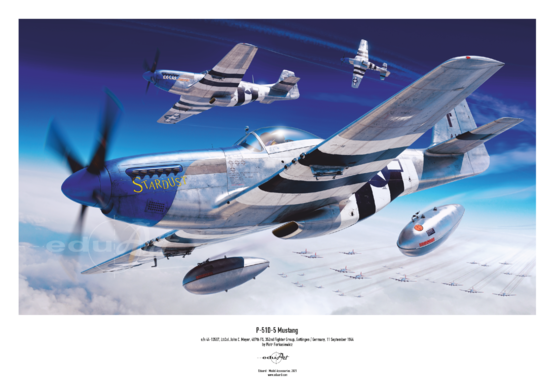 Eduard 1/48 P-51D-5 Plastic Model Kit [84172]
