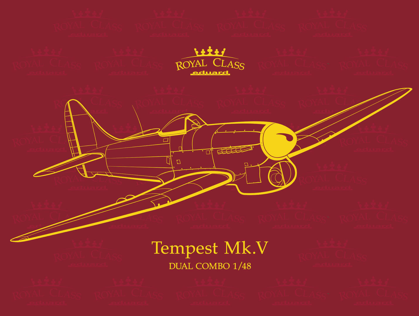 EDR0018 Eduard 1/48 Tempest Mk. V Dual combo plastic model kit Eduard