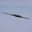 E-Flite Micro B-2 Spirit Twin 30mm EDF Jet, BNF Basic, EFLU09050 E-FLITE