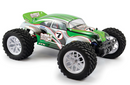 FTX-5545 Bugsta Brushless 1/10 4WD RTR FTX