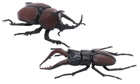 FUJ17086 Fujimi Biology Edition Beetle vs Stag Beetle Showdown Set (FI No.25) Plastic Model Kit [17086] Fujimi