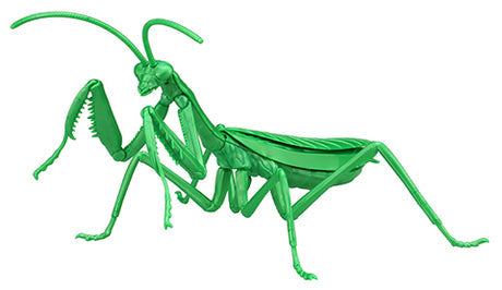 FUJ17111 Fujimi Biology Edition Big Mantis (Metallic Green) (FI No.23 EX-3) Plastic Model Kit [17111] Fujimi