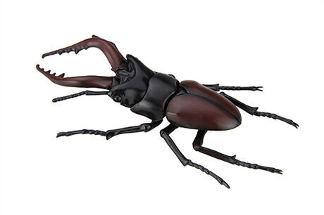 Fujimi Biology Edition Stag Beetle [FI No.22] Plastic Model Kit