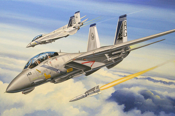 HB80277 HobbyBoss 1/72 F-14B Tomcat Plastic Model Kit [80277]