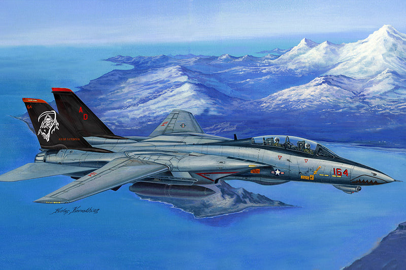 HB80368 HobbyBoss 1/48 F-14D Super Tomcat Plastic Model Kit [80368]