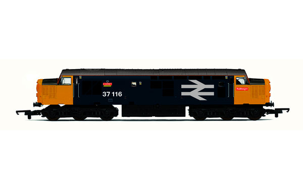 R30185 HORNBY RAILROAD PLUS BR CLASS 37 CO-CO 37116 COMET- ERA 8