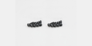 KYO-1-S42010TP Kyosho TP Round Screw(M2x10/10pcs) Kyosho