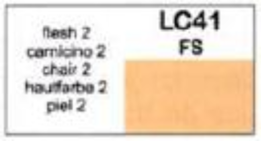 LC-LC41 Lifecolor Matt Flesh 2 22ml Acrylic Paint Lifecolor