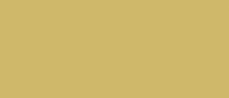 LC-UA425 Lifecolor Olive Drab Yello Tone 22ml Acrylic Paint Lifecolor