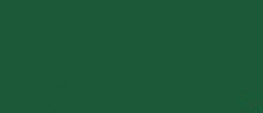 LC-UA506 Lifecolor Olive Green 22ml Acrylic Paint Lifecolor