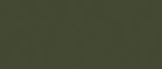 LC-UA507 Lifecolor Grey Green 22ml Acrylic Paint Lifecolor