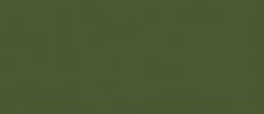 LC-UA511 Lifecolor Light Green 22ml Acrylic Paint Lifecolor