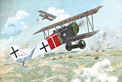 Roden 1/48 FOKKER D.VII Alb (late ) Plastic Model Kit