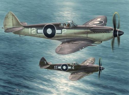Special Hobby 1/48 Seafire Mk.XV "Far East Service" Plastic Model Kit