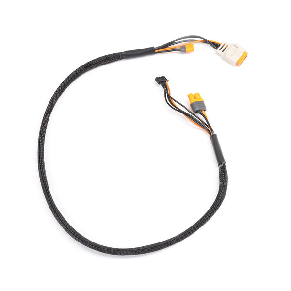 Spektrum 2-6S IC5 60cm Charge Lead with In-Built Balance Plug