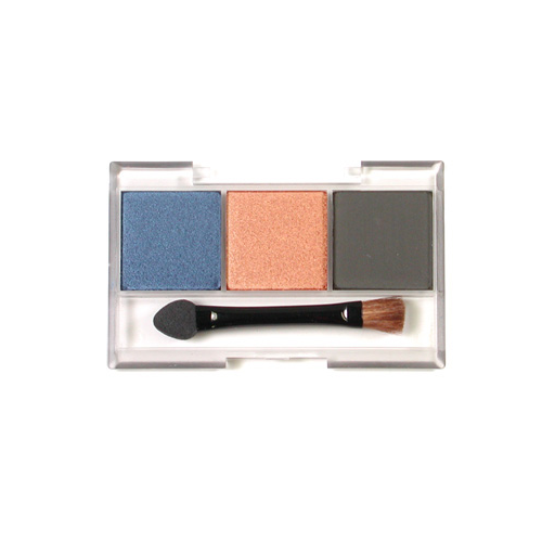 TAMIYA  WEATHERING MASTER D SET Tamiya