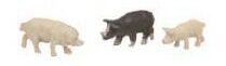 Tomytec Pigs 3