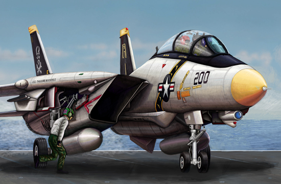 TR03910 Trumpeter 1/144 F-14A Tomcat