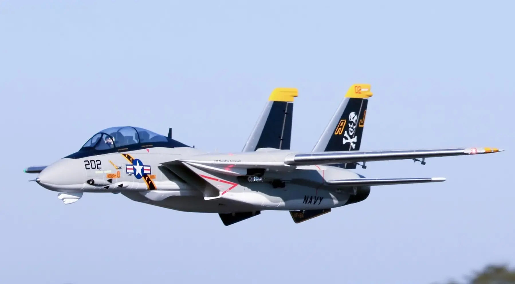 Freewing F-14 Tomcat Twin 64mm EDF Jet - PNP FJ11411P Freewing