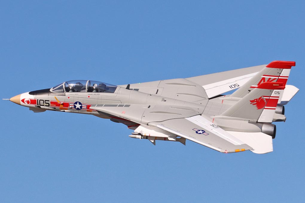 Freewing F-14 Tomcat Twin V2 64mm EDF Jet - PNP FJ11421P