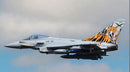 Freewing Eurofighter Typhoon 8S High Performance 90mm EDF Jet - PNP FJ31921P Freewing