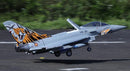 Freewing Eurofighter Typhoon 8S High Performance 90mm EDF Jet - PNP FJ31921P Freewing